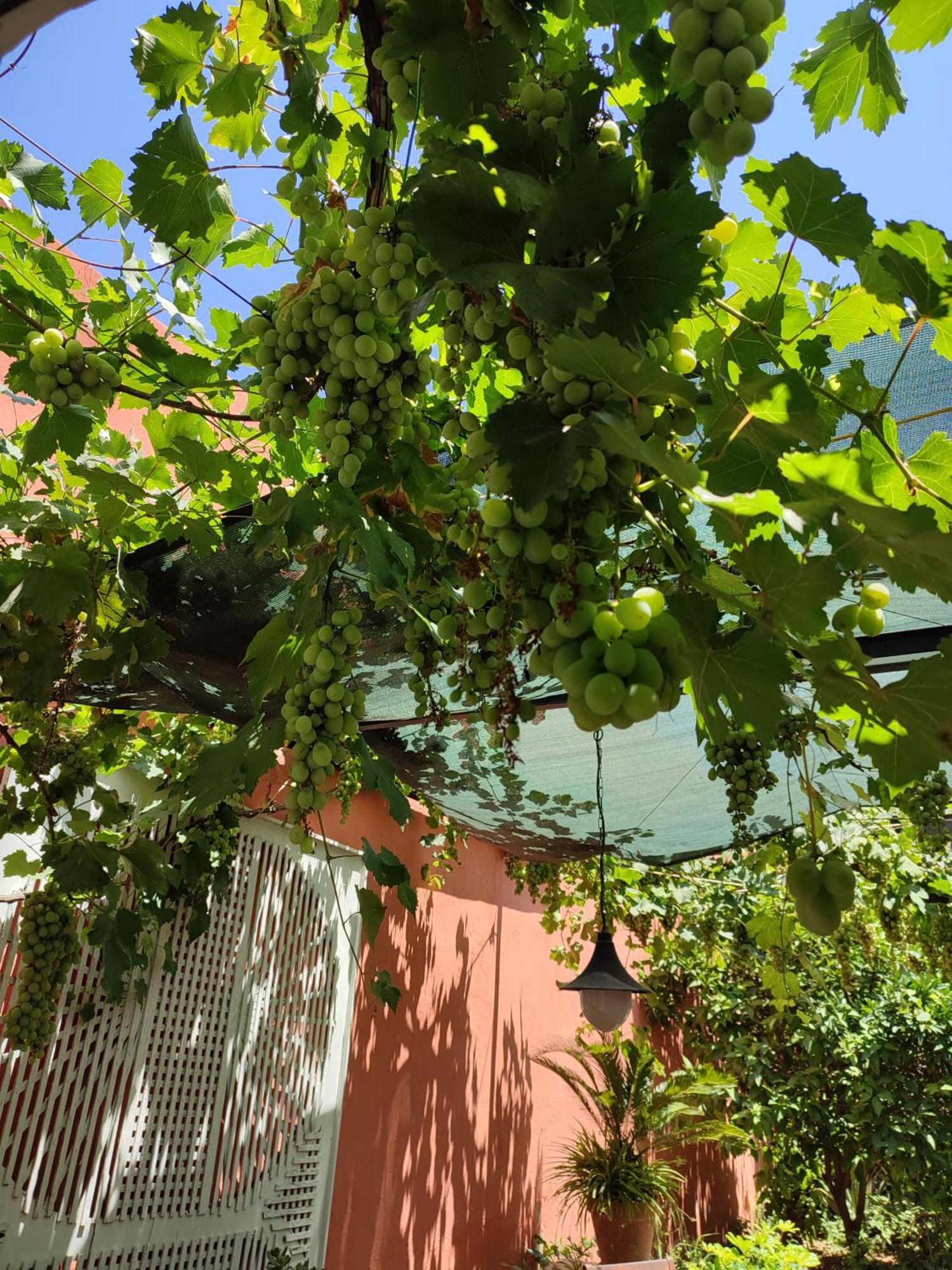 Townhome With Private Garden